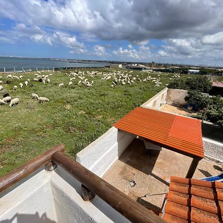Casa Al Mare Con Splendida Vista Sul Mare Vila Petrosino Exterior foto