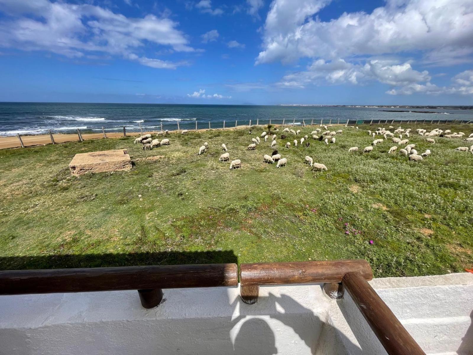 Casa Al Mare Con Splendida Vista Sul Mare Vila Petrosino Exterior foto